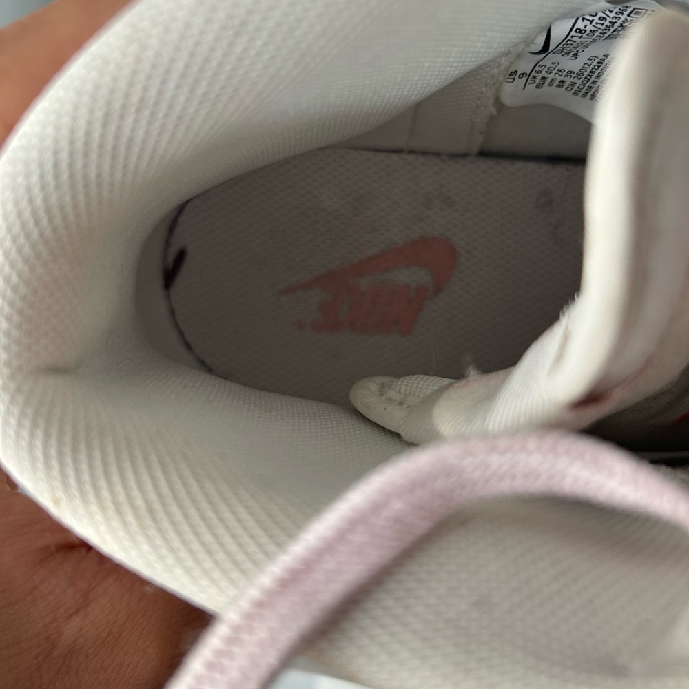 nike dunks